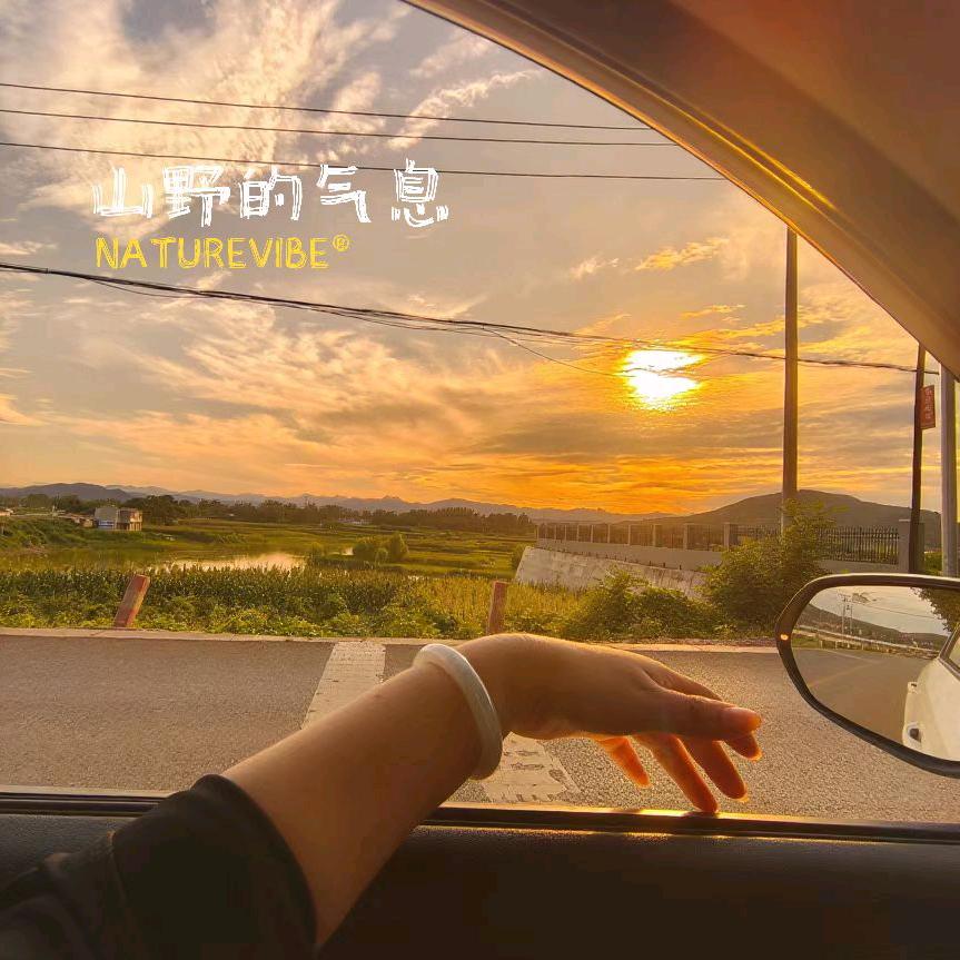 茧