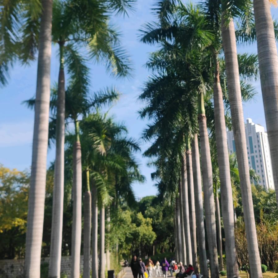 反正也没人看，随便取一个名字吧