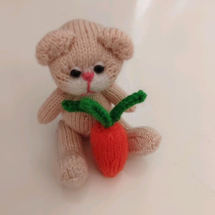 鸿姐爱生活