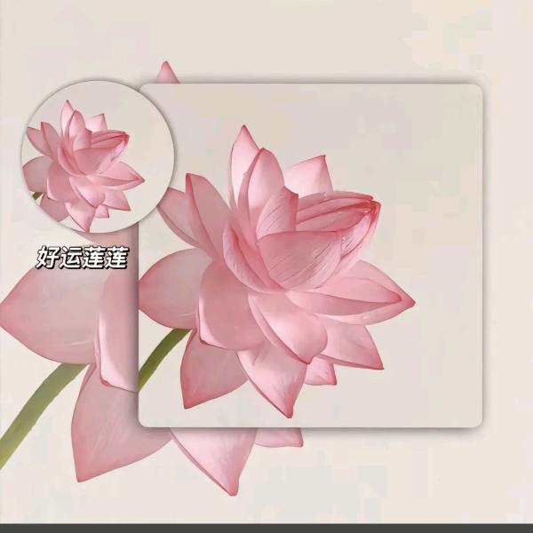 ❀余生安好❀