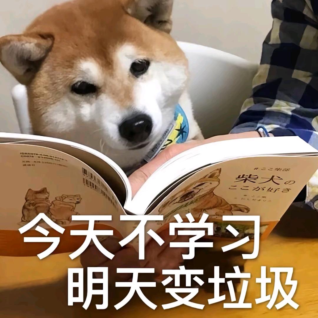 三角洲鼠鼠（沈梦）