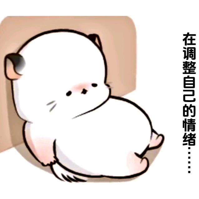 明月，清风，与我