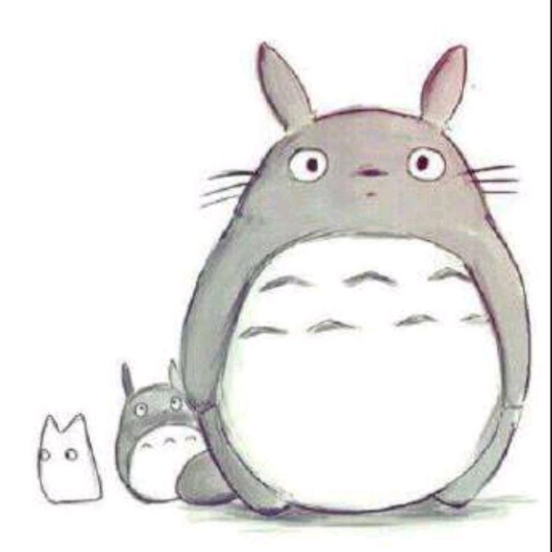 龙猫先生