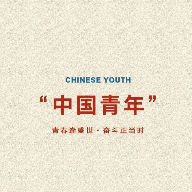 团支书（沉淀版）