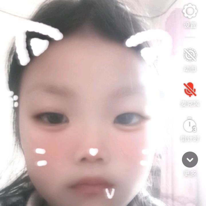 灰色小猫