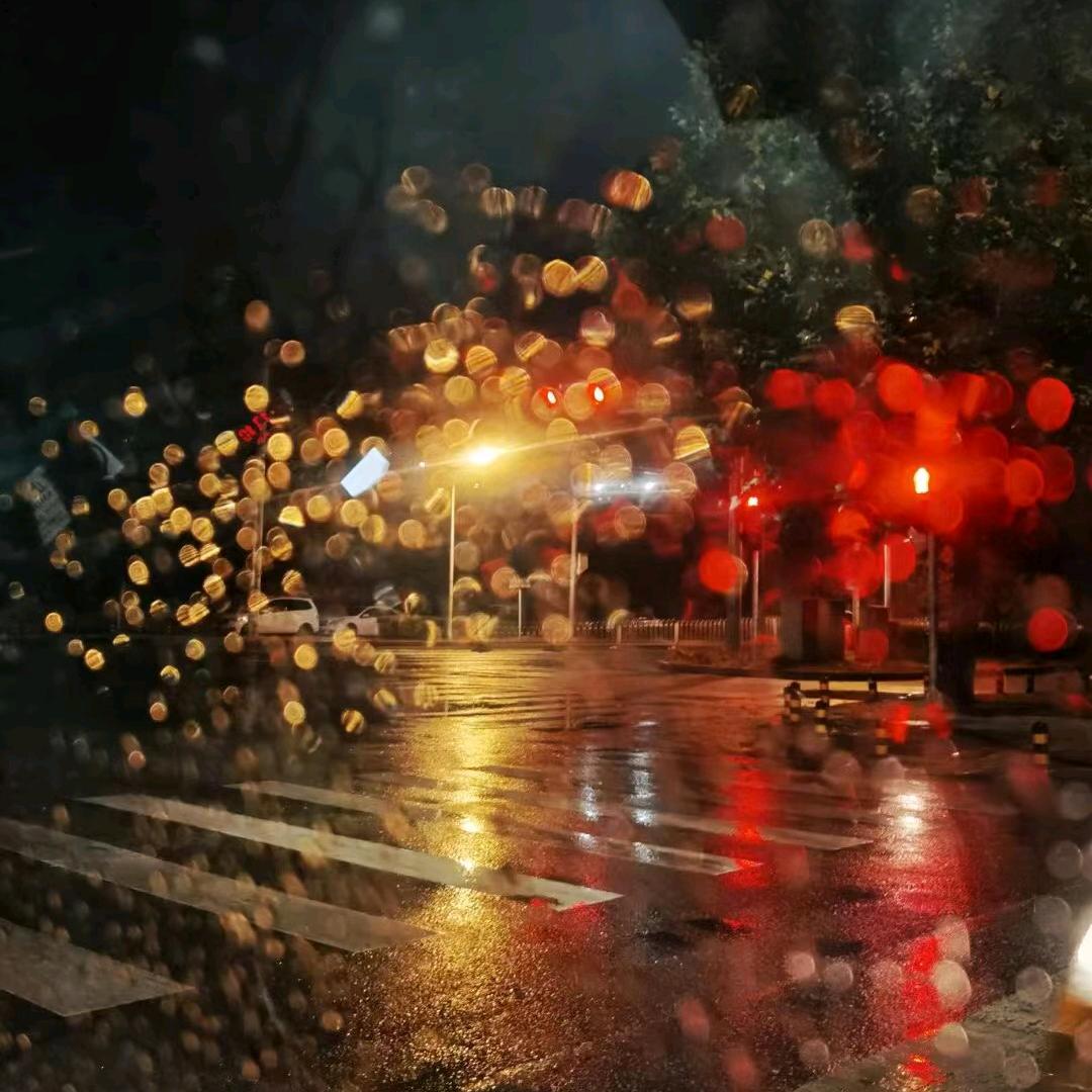 🌹简简单单🌹