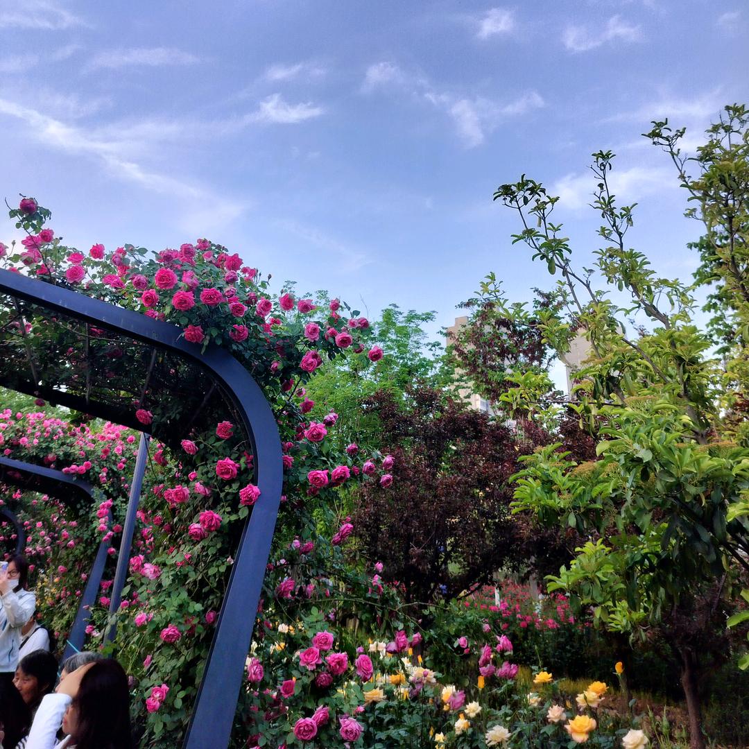 杜大姐创业