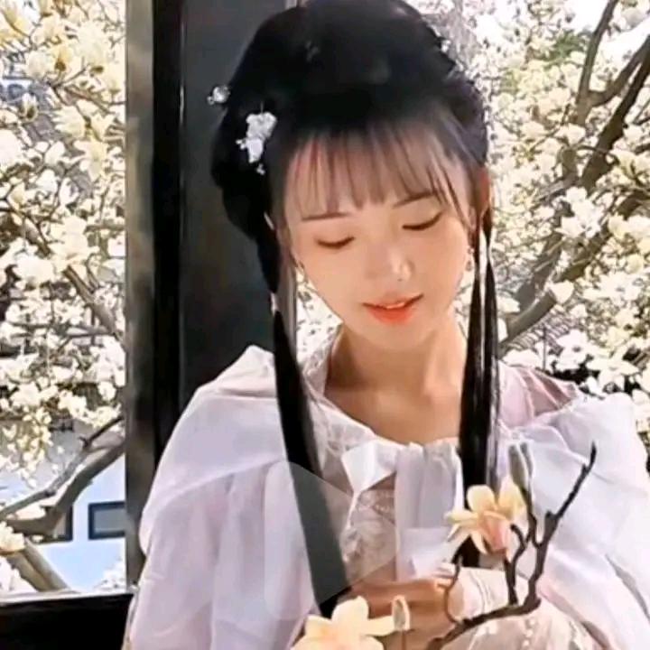 若曦（有关必回）