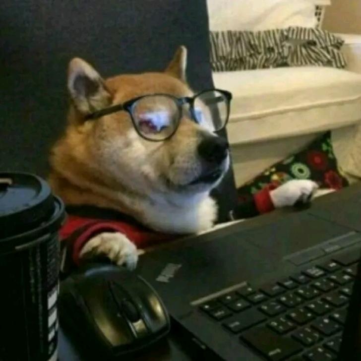GRYHF