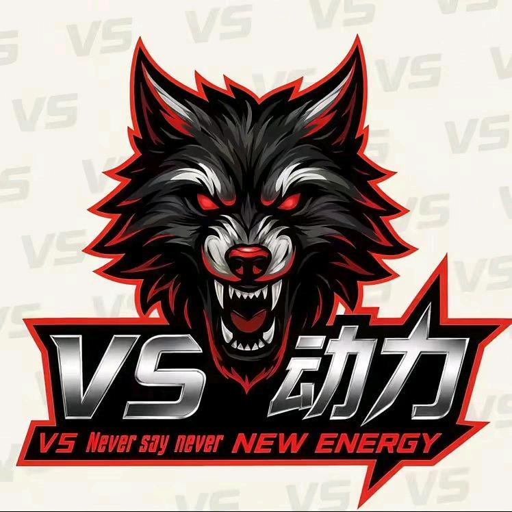 VS   动力锂电BOSS