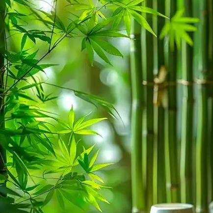 简