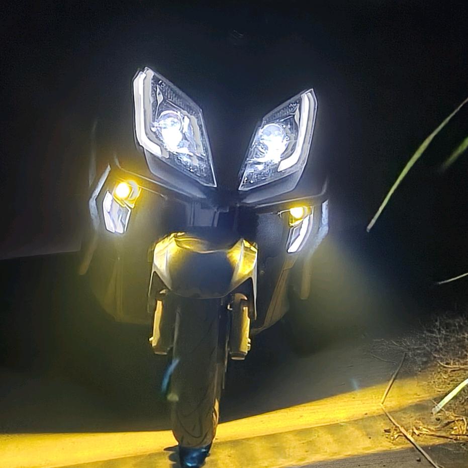 《不务💕正业的🐭》