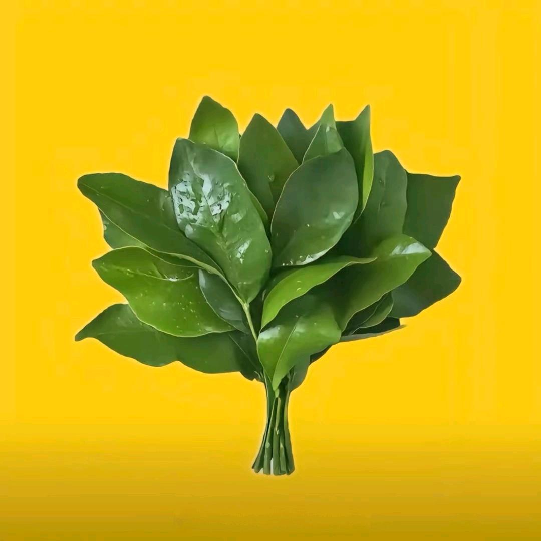 开心媛媛