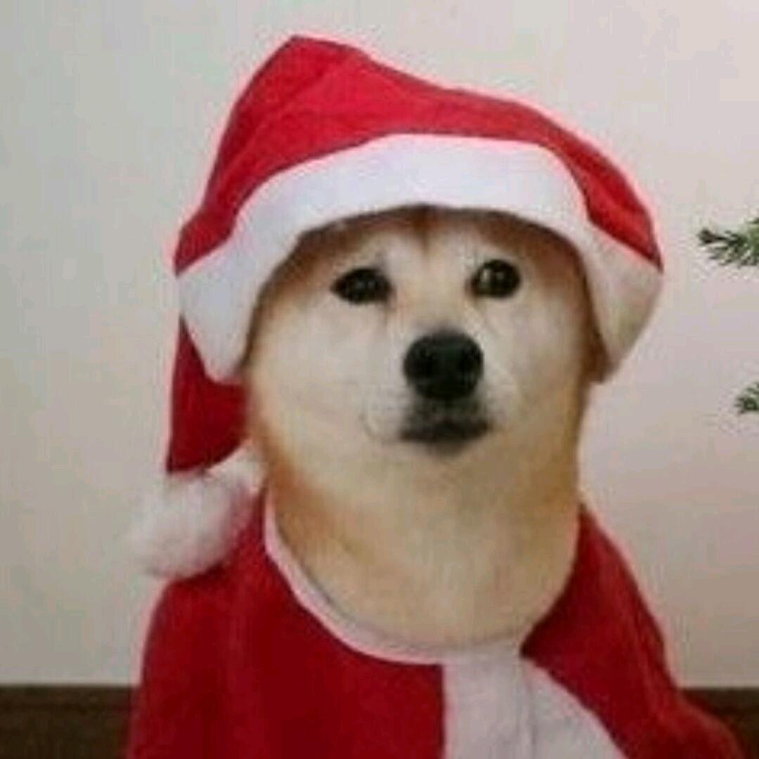 不在线