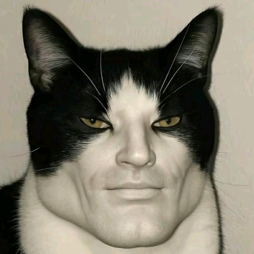 饥饿智点拼好饭，感冒巧喝感冒灵