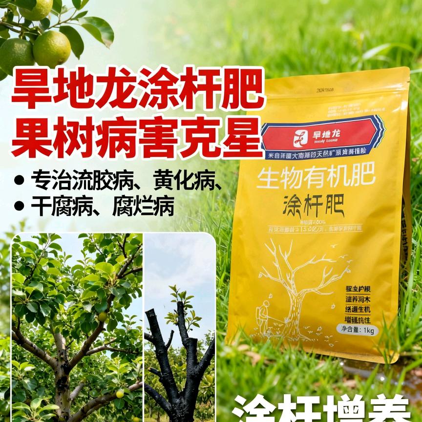 福寿屯村旱地龙矿源丰喜复合肥