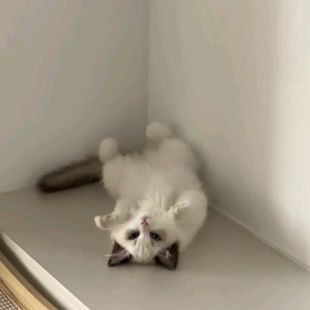 SHU_xxrmm