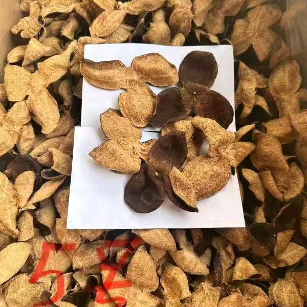 大龙商行(浦北陈皮茶业)