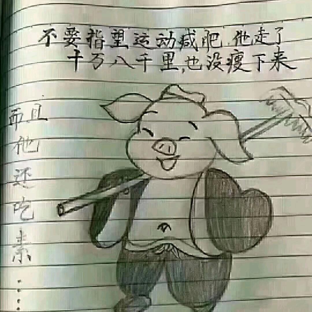 少瑾年