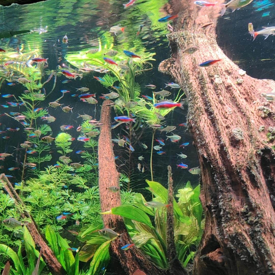 我的未来不是梦