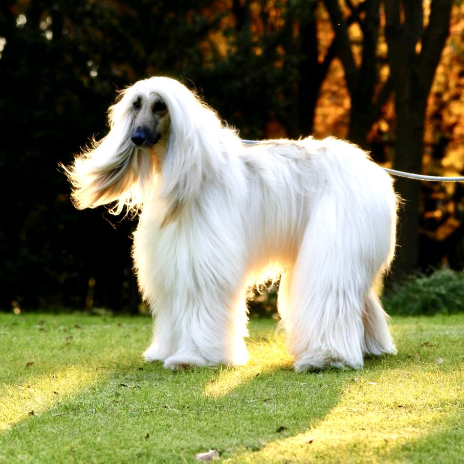 徐牛牛和李富贵