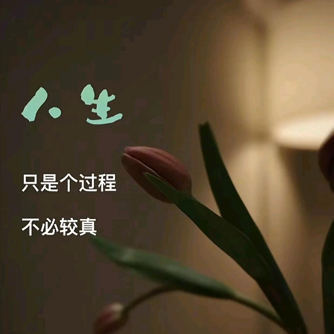 🕊许多年以后ృ༊