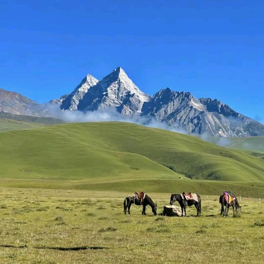 重庆尼特安纳广告有限公司