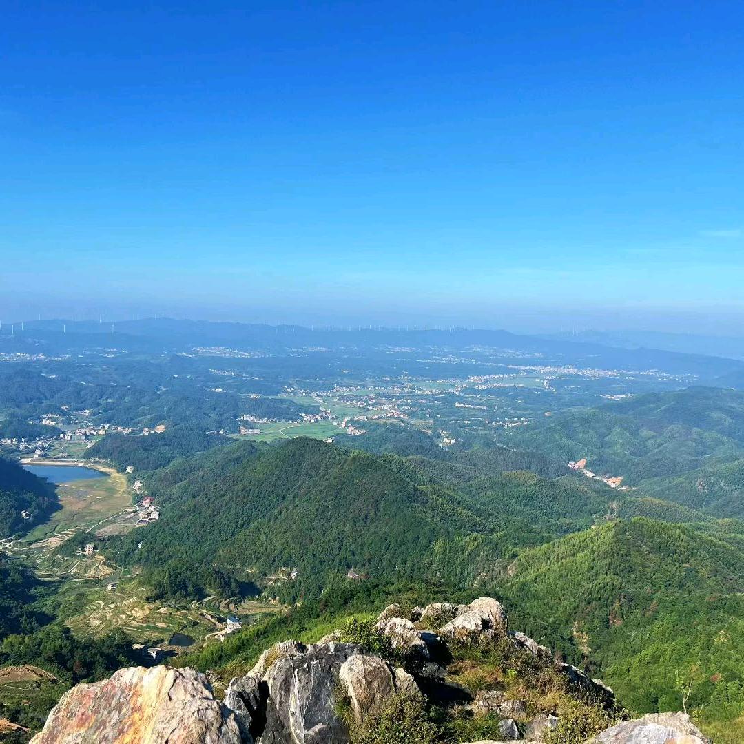 阿姨的好物甄选