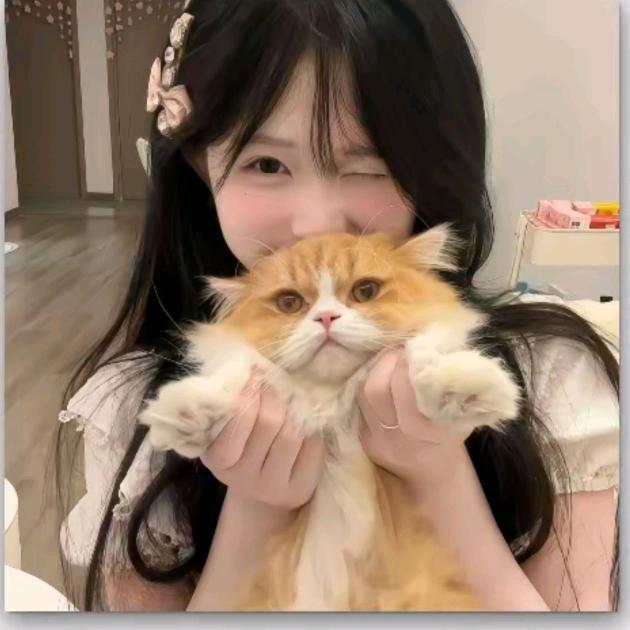 圆糯糯🎀