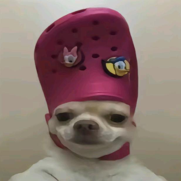 嗷嗷嗷嗷