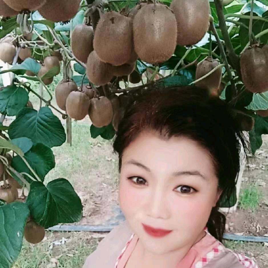 好运来红果果