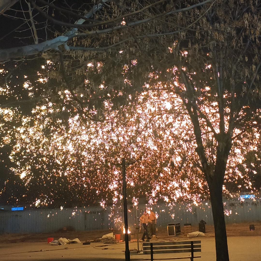 当时只道是寻常🍂