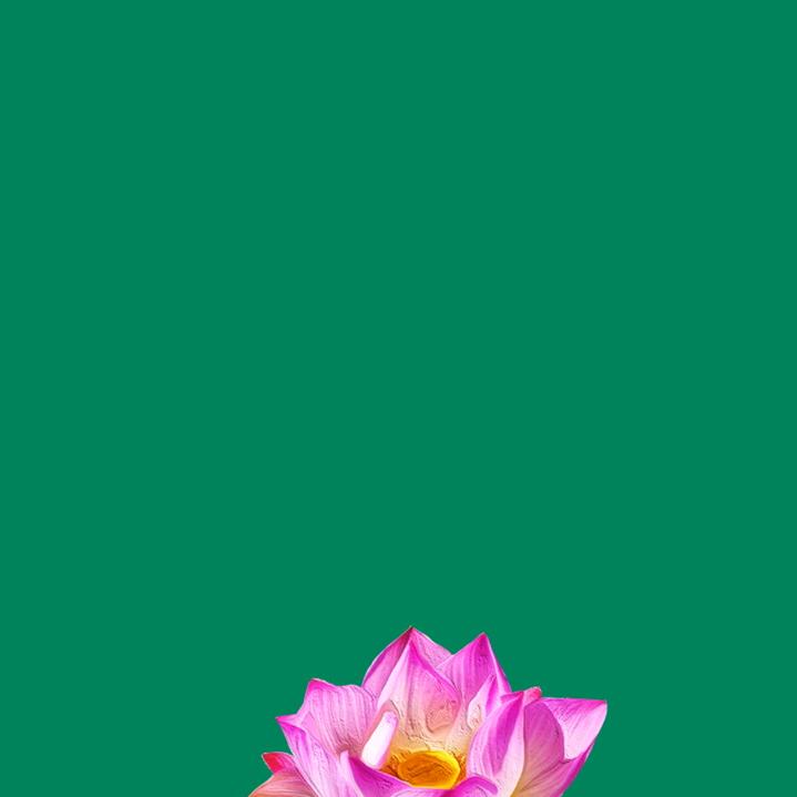 🌟💫逍遥💫