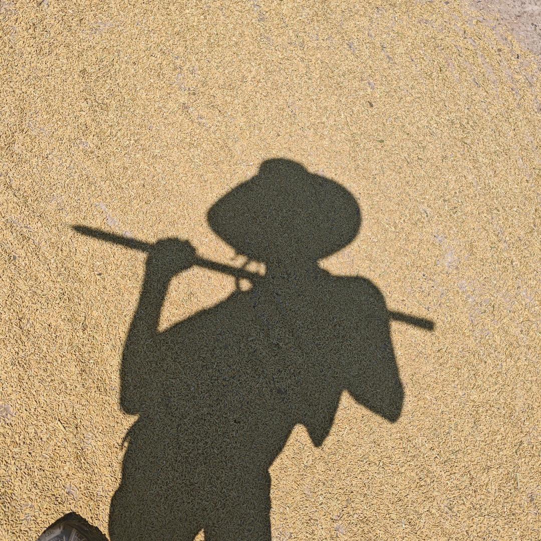 南充丝绸