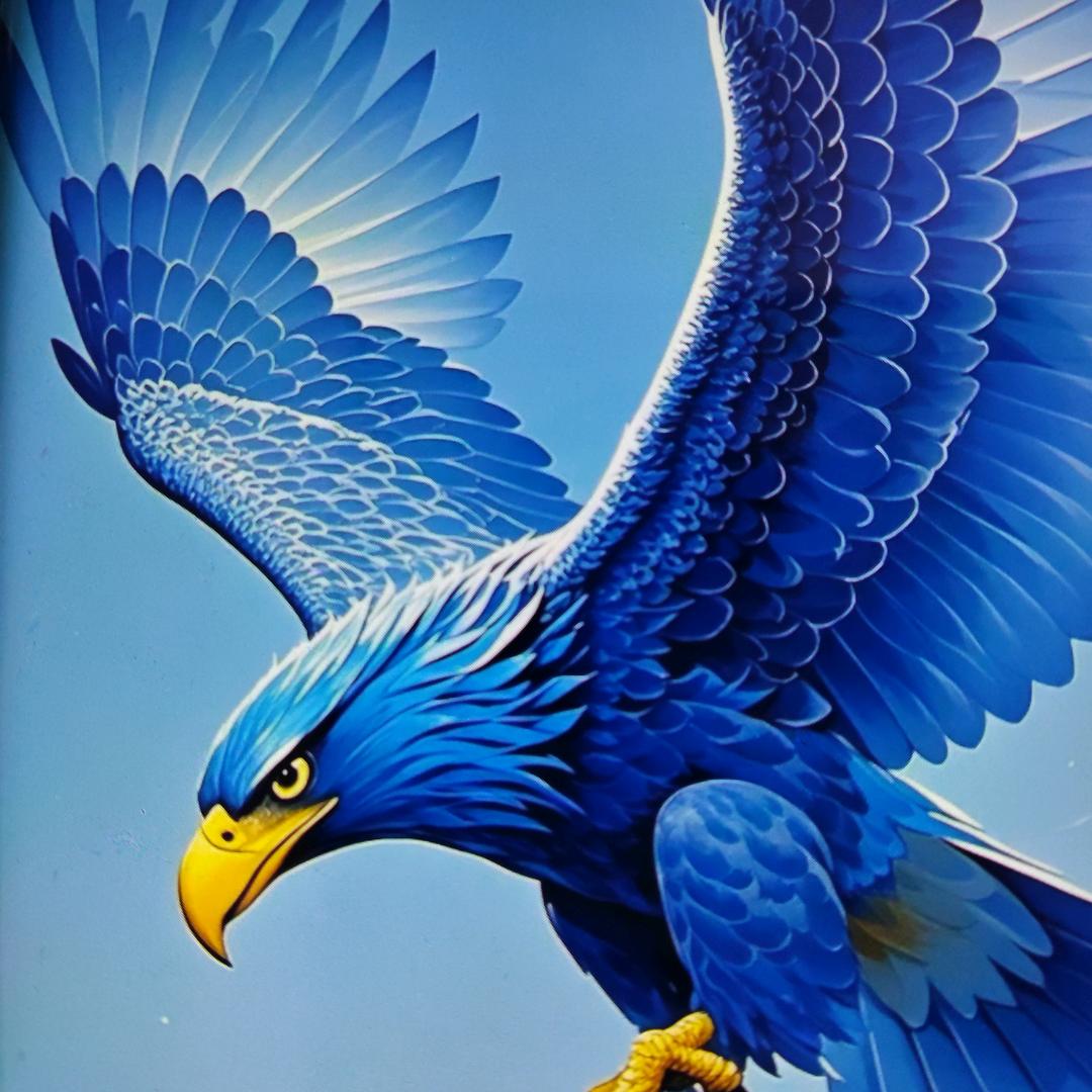 🦅鹰🦅，