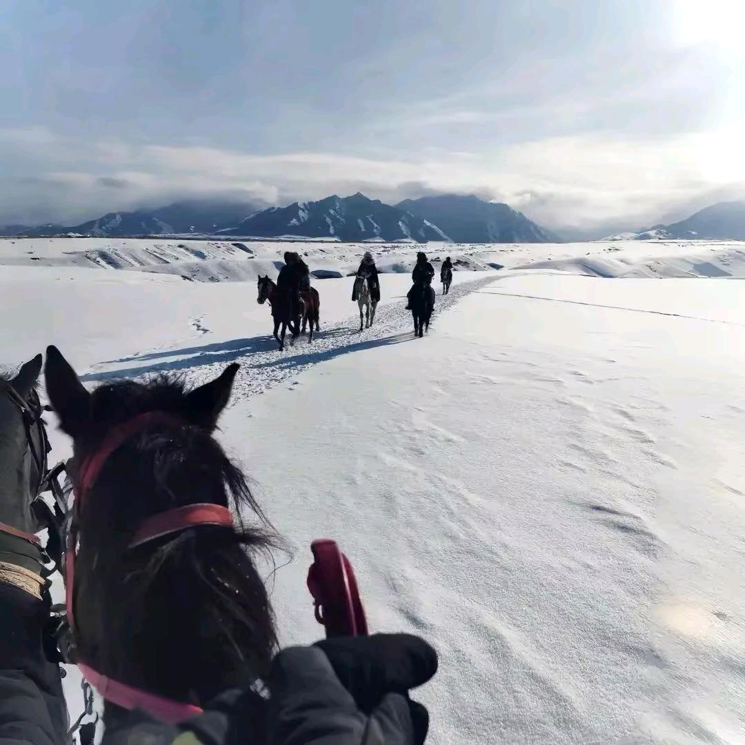 派大星我们去抓水母吧