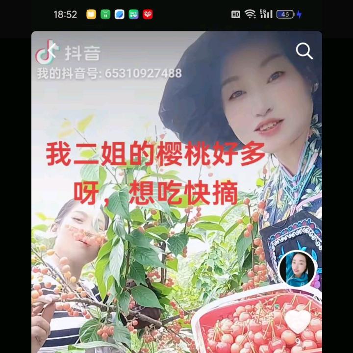 酒杯装不下的心碎，
