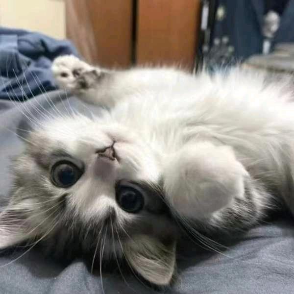 好玩爱玩