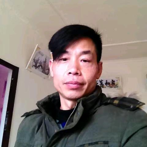 平静的大海