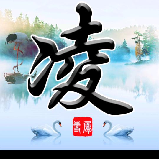 执着于你