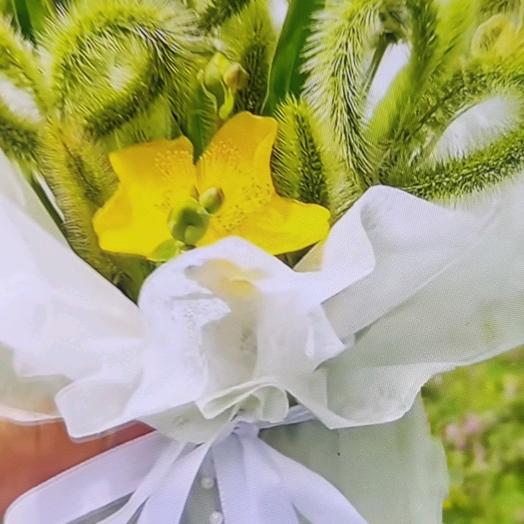 欧阳姿雯