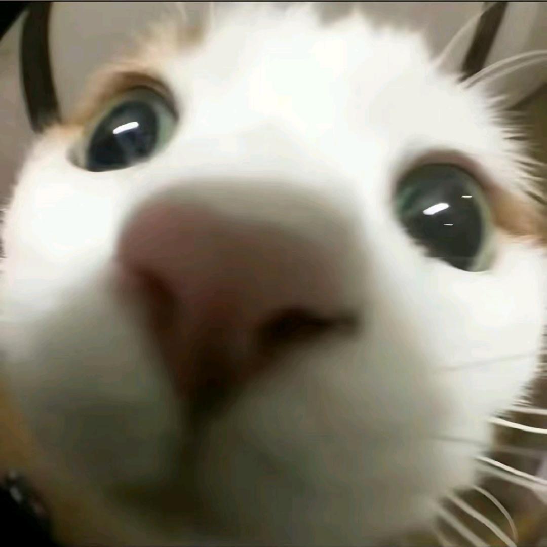 QwQ