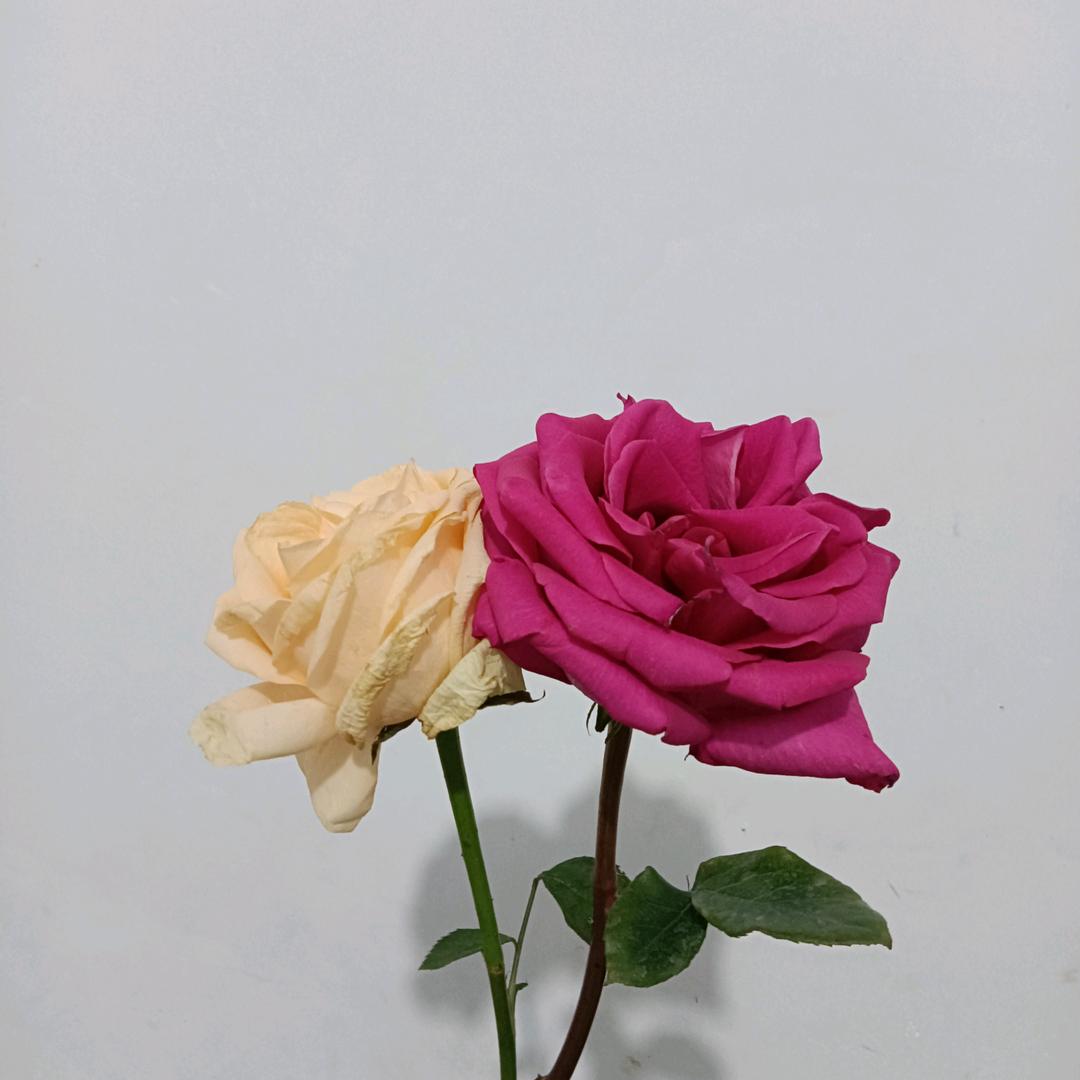 爱是你我