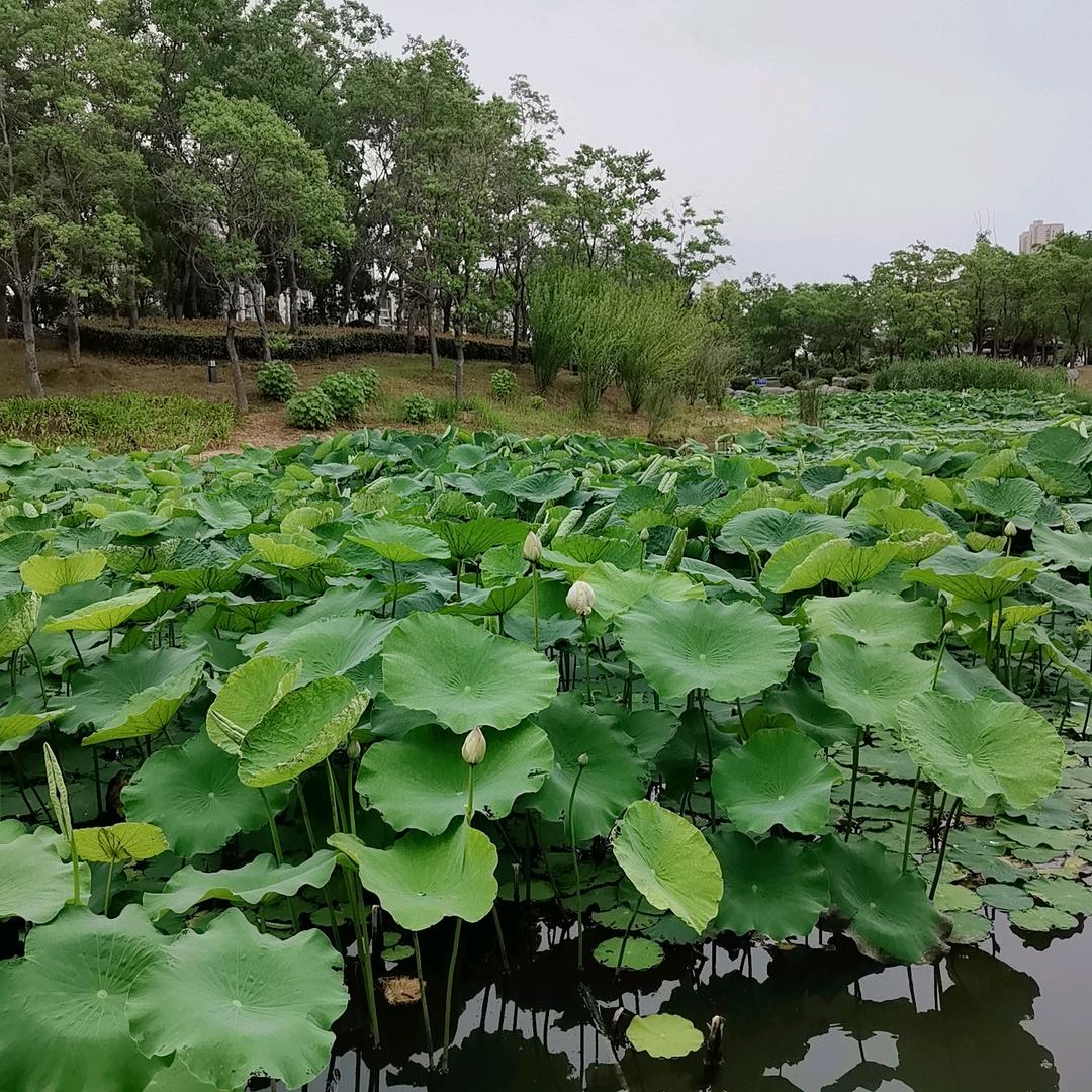 爱看继续啥
