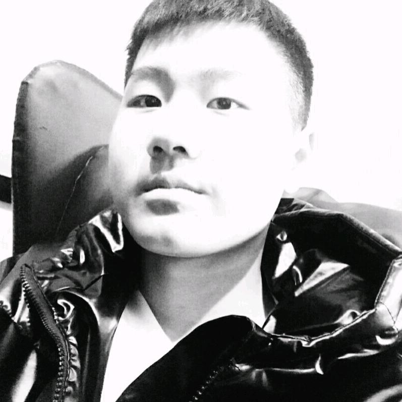 龙痕梦