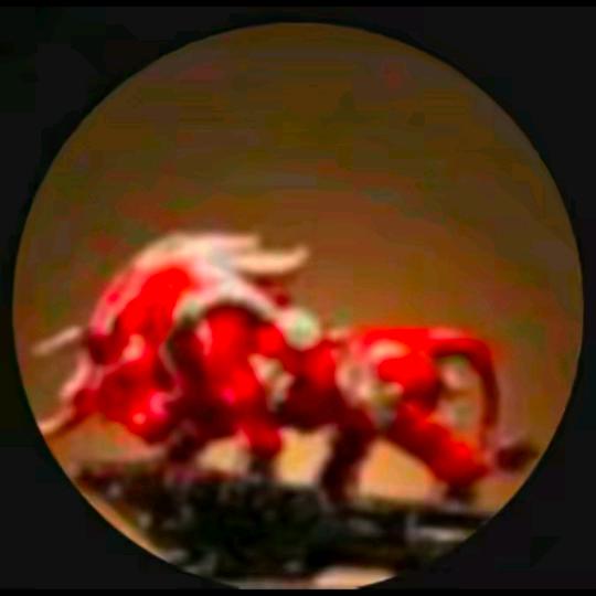 飞龙財經（回复）