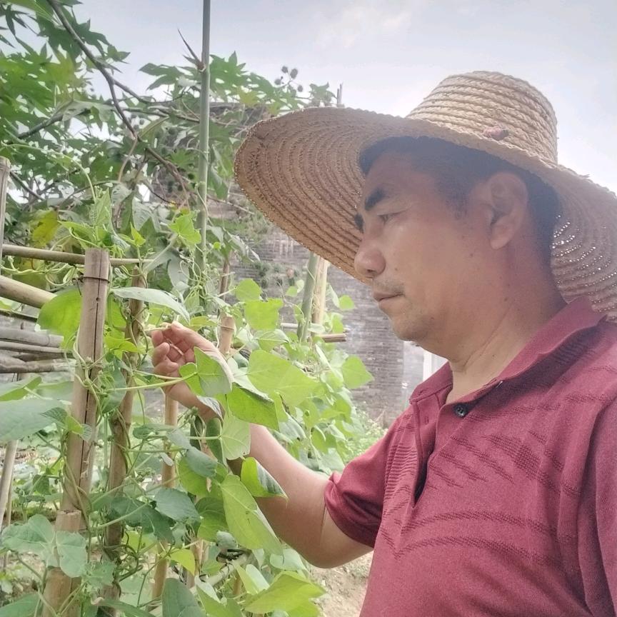 强哥助农