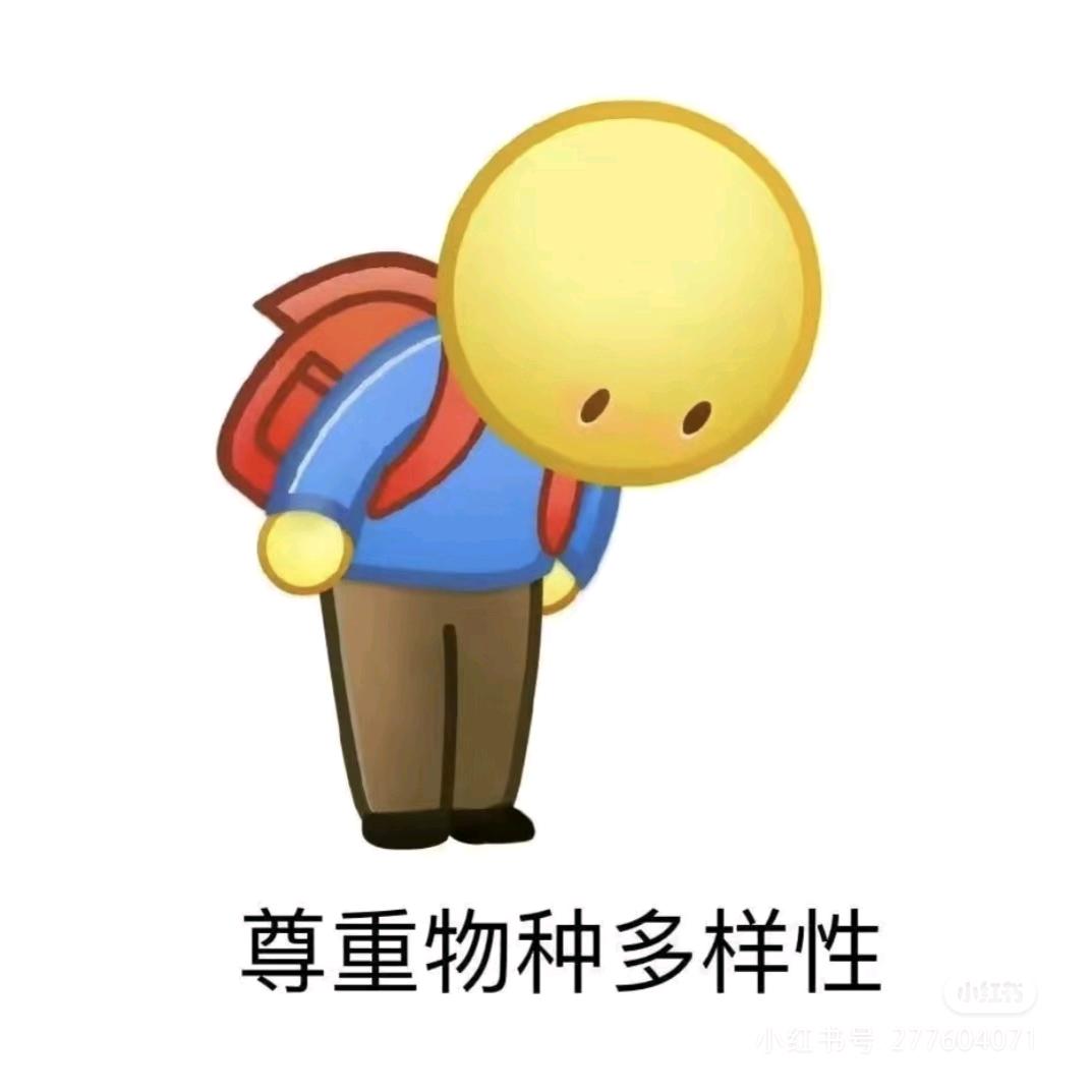 小桃🍑
