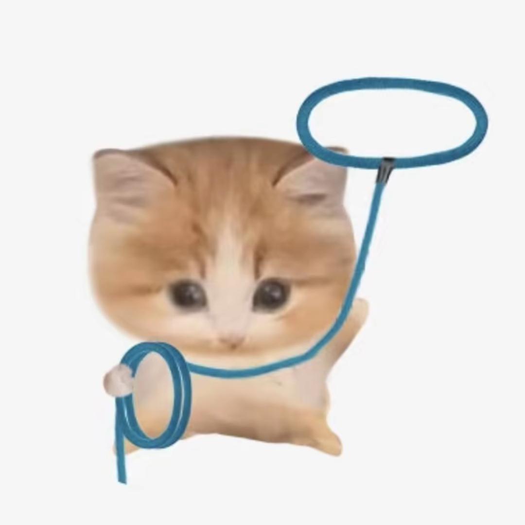 遗书被鸡叼走