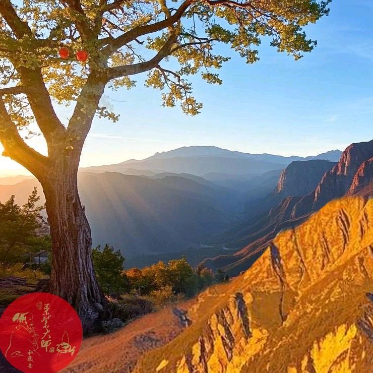 叶紫大师